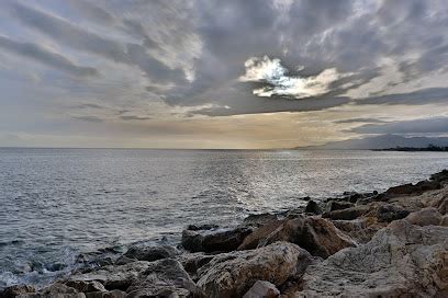 Descubre Las Mejores Playas Para Perros En Cambrils Diversi N