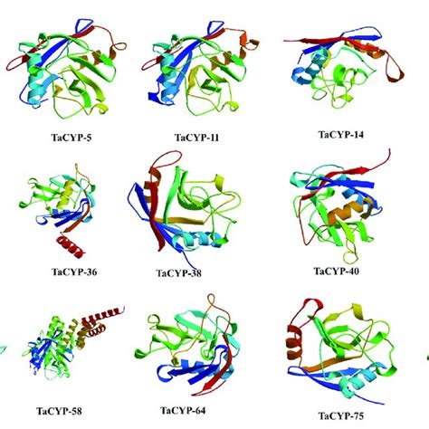 3D Structures Of 15 Representative Proteins Simulated Using The