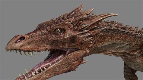 Dragon 3d Model Cgtrader