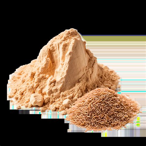 Lakeside Food Sales Inc Is A Wholesale Brown Rice Protein Supplier