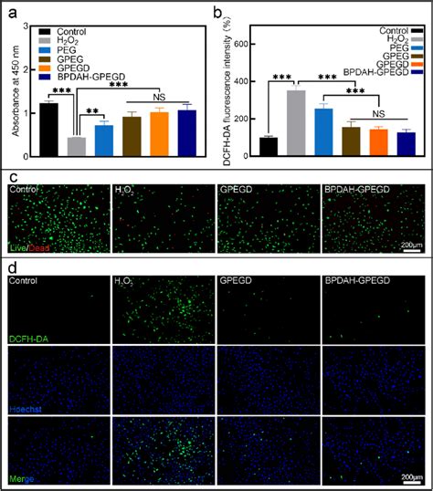 Antioxidant Activity Of Hydrogels A Cck Assay Results And B Ros