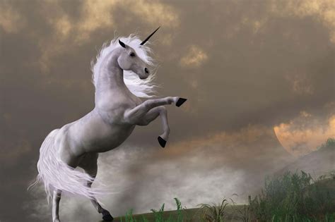 Download A Majestic Real Life Unicorn