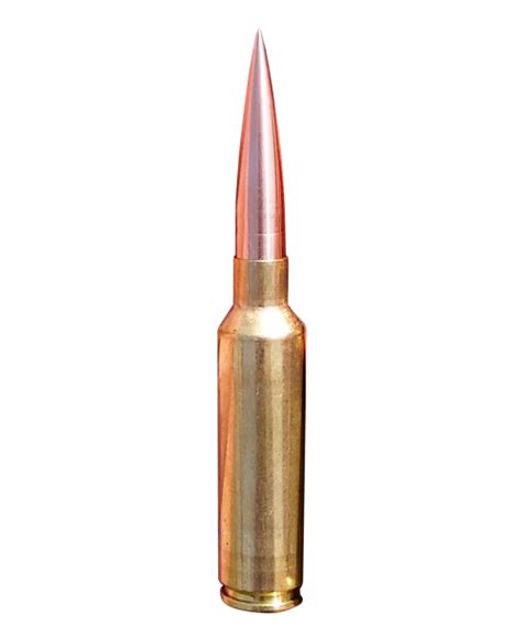 Bullets Png Image Transparent Image Download Size 500x610px