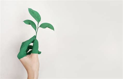 7 Passos Essenciais Para Aplicar A Sustentabilidade Na Sua Empresa