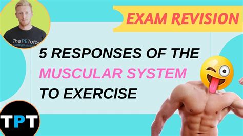 Muscular System Responses To Exercise 5 Ways Explained Youtube