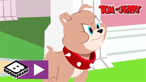 Tom And Jerry Puppy Boomerang Uk Youtube