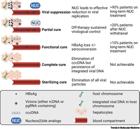 New Strategies For The Treatment Of Chronic Hepatitis B Trends In