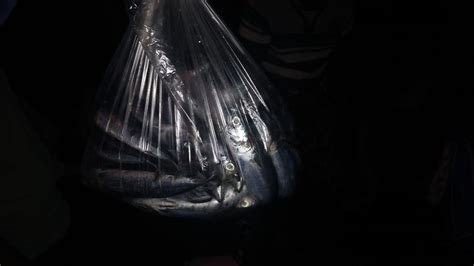 Pasar Pelelangan Ikan Palabuhanratu