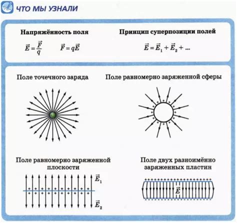 На каком рисунке правильно изображена картина линий напряженности