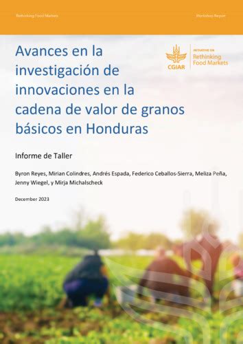 Avances En La Investigaci N De Innovaciones En La Cadena De Valor De