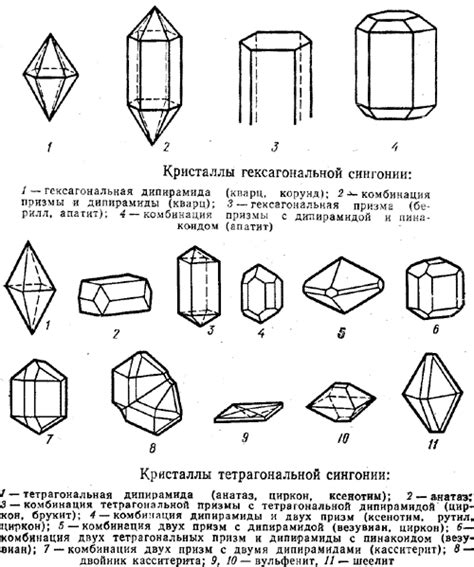Сингония (виды симметрии)