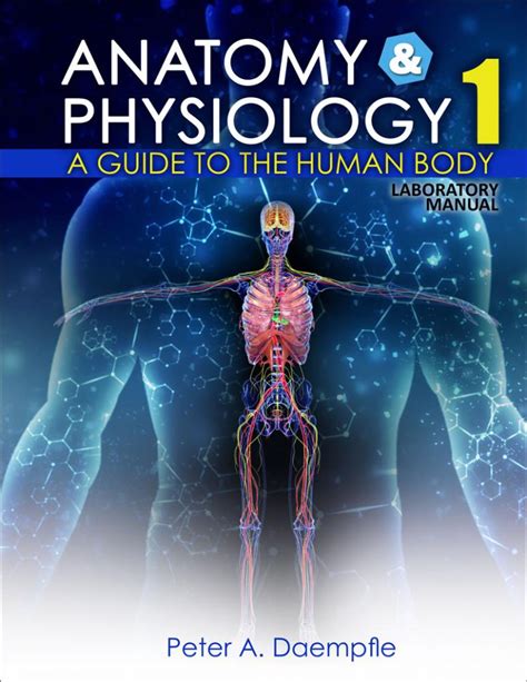 Anatomy And Physiology Laboratory Manual