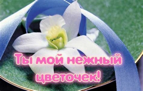 Комплименты девушке о её красоте