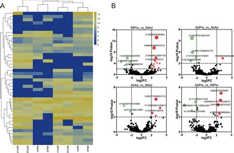 The Identification Of DE CircRNAs Across Various Groups A Cluster