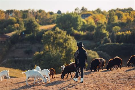 Premium Photo A Female Shepherd Grazes Sheep And Goats On A Meadow