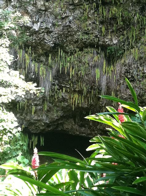 Fern Grotto Kauai Aloha Hawaii