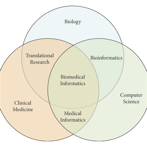 Relationships Between Biomedical Informatics And Other Disciplines