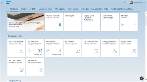 How To Create The Sap Belize Theme In Sap Ui Theme Sap Community