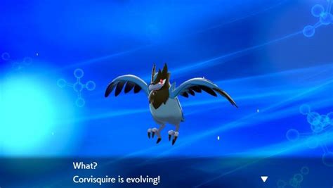 Pokemon Sword And Shield How To Evolve Corvisquire Into Corviknight