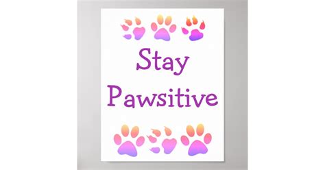 Paw Print Stay Pawsitive Quote Poster Zazzle