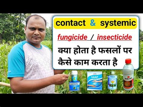 Contact And Systemic Fungicide Or Insecticide Kya Hota Hai Systemic