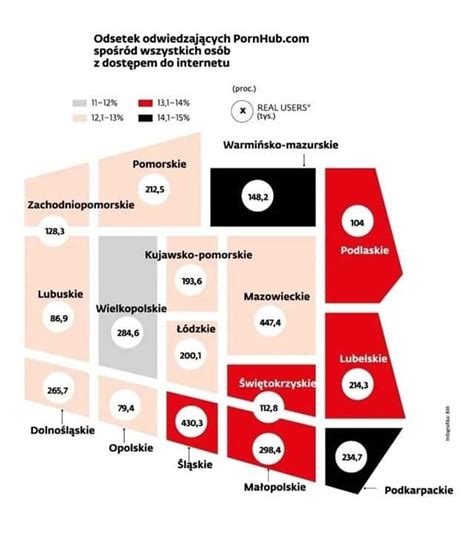 W Naszym Wojew Dztwie Najwi Cej Os B Ogl Da Pornografi