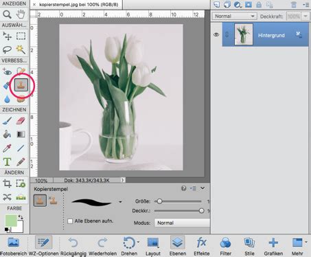 5 Tipps für Bildbearbeitung mit Photoshop