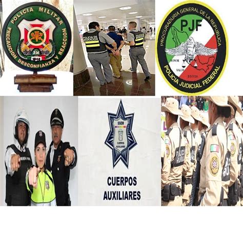 Requisitos Para Ser PolicÍa En MÉxico GuÍa Completa