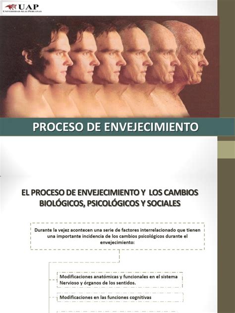 Proceso De Envejecimiento Pdf Depresión Estado De ánimo Vejez