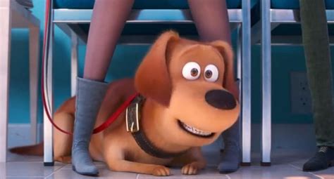 La vida secreta de tus mascotas 2 estrena su primer tráiler oficial