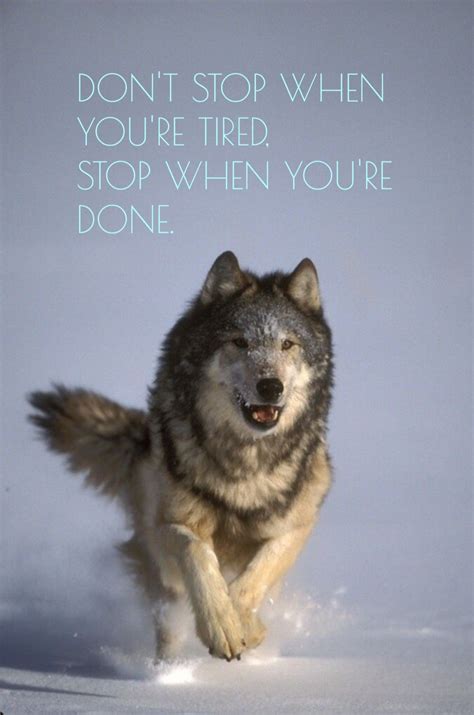 Pin by Chella on Fitness Wolves | Lone wolf quotes, Wolf art print, Wolf quotes