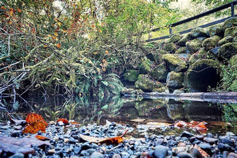 2024 O Que Fazer Em Mill Creek Os 10 Melhores Pontos Turísticos Tripadvisor