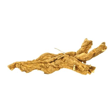 Mandrake (mandragora officinarum)