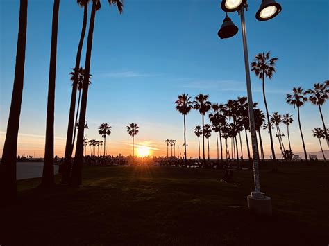 Venice Beach Sunset : r/Venice_CA