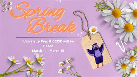 Live Feed | iUniversity Prep: A Grapevine-Colleyville Virtual Academy