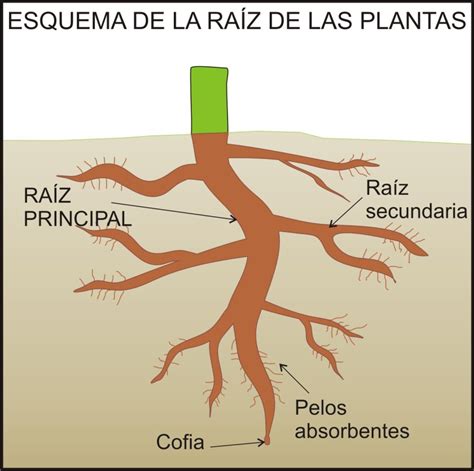 A O B Y C Escuela N Salto Las Plantas