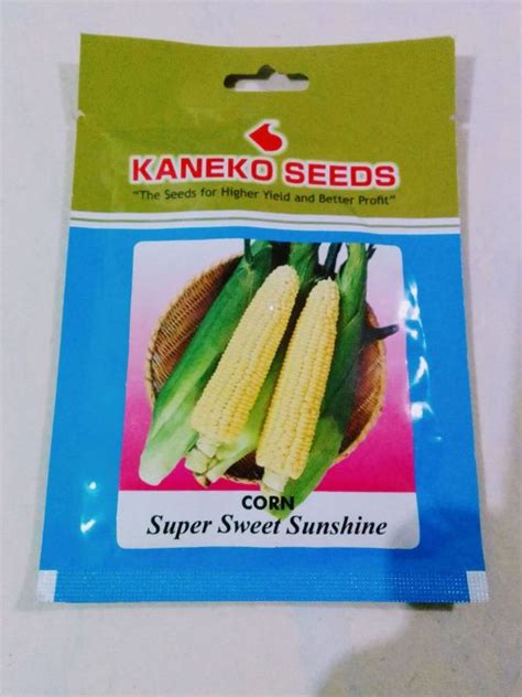 Super Sweet Sunshine Sweet Corn Seeds 15grms Kaneko Seeds Lazada Ph