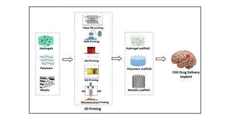 Role Of 3d Printing In The Development Of Biodegradable Implants For