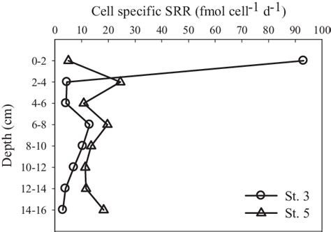 Cell Specific Sulfate Reduction Rates At Station 3 And Station 5