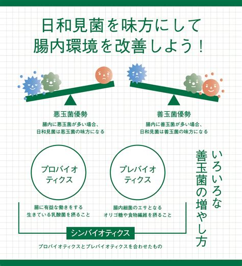 善玉菌の増やし方 「おなかを育てる」野村乳業