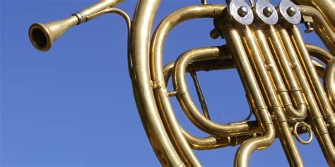 Hearing Loss Relatively Common In Pro French Horn Players, Study Suggests | HuffPost