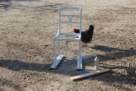 Cherry Blossoms & Chickens: DIY chair