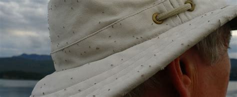 Midges in Scotland - protect yourself from a Highland menace!