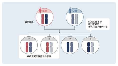 Hboc 検査 遺伝性乳癌卵巣癌症候群 ミリアド・ジェネティクス