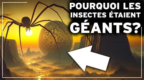 A quoi ressemblait la Terre à l époque des INSECTES GÉANTS Les