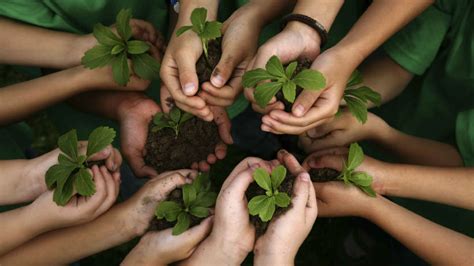 Cara Mengajarkan Anak Agar Cinta Lingkungan Bidikwarta