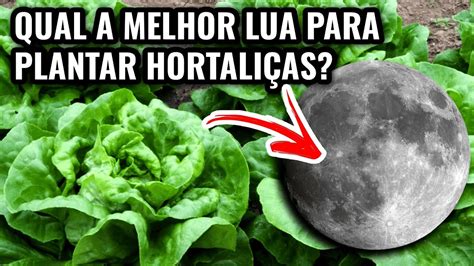 Qual A Melhor Lua Para Plantar Hortali As Aprenda Agora Youtube