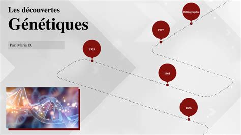 Ligne De Temps Génétique By Maria Dimov