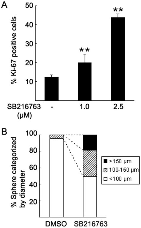 Increase In Cell Proliferation Induced By Sb A Gsk Inhibitor