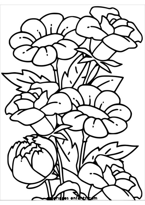 Coloriage De La Nature A Imprimer Gratuit